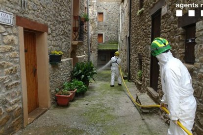 Gairebé totes les desinfeccions les han fet a petició d’ajuntaments o consells del Pirineu.