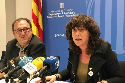 La consellera d'Agricultura, Teresa Jordà, a la roda de premsa.