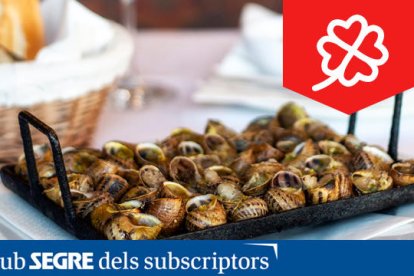 L'emblemàtic Hostal del Carme ens ofereix el millor descans i la millor gastronomia de l'Urgell.