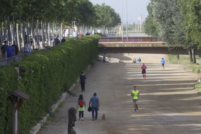 La canalització és un dels llocs on abunden els mosquits i les mosques negres.