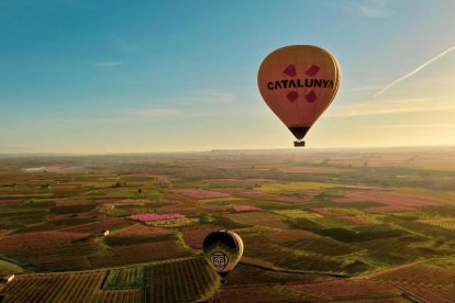 Dos globus volant ahir per sobre del ‘mar rosa’ que formen els arbres florits a Aitona.