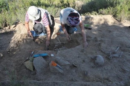 Vista dels treballs d’excavació arqueològica en una de les fosses localitzades al Cogul.