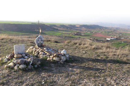 Tombes d’animals en una imatge d’arxiu al costat d’Alguaire.