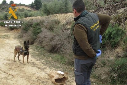 El guia amb el gos especialitzat en recerca de verins.