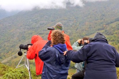 Turistas en la reserva para observar y oír la berrea del ciervo en una imagen de archivo. 