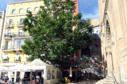 Tala d'un arbre a la plaça Sant Joan per seguretat