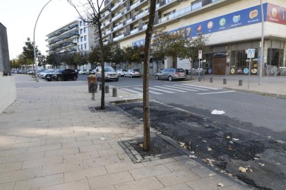 Vista del lugar donde se incendiaron contenedores en Pere Cabrera. 