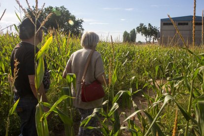 El laberinto ofrece un recorrido de 3 kilómetros por diferentes pasillos en una finca de 3 hectáreas.