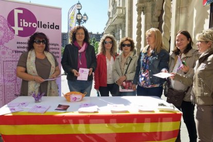 Imatge d'arxiu d'una taula informativa de Fibrolleida.