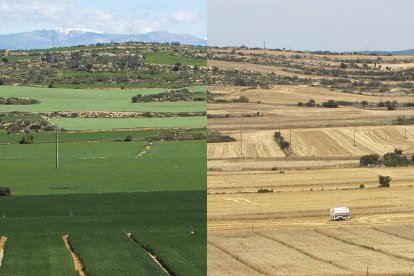 Agricultura i canvi climàtic. Investigacions des de Lleida per adaptar-nos a un clima canviant