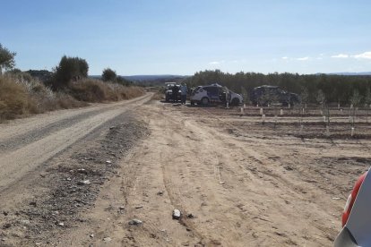 El suceso se produjo ayer a las 10.30 horas en una zona conocida como Font de la Juliana. 