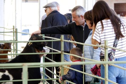 Una imagen del certamen ganadero de la capital del Solsonès.