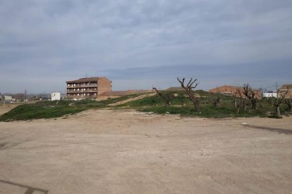 La zona que será remodelada, con el montículo que se transformará en anfiteatro. 