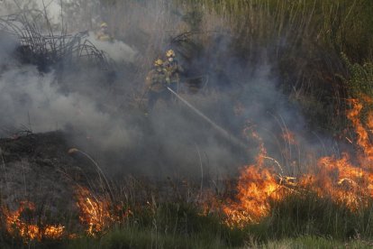 Tres bombers atacant el foc.