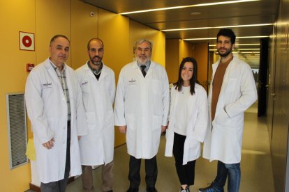 El grup de recerca Neurocognició, psicobiologia de la personalitat i genètica de la conducta determina topogràficament tres fases de la memòria de treball segons la complexitat del record mitjançant tècniques d'espectroscòpia frontal per infrarojos