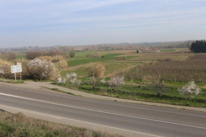 Terrenys entre Térmens i Balaguer on estava prevista una de les plantes rebutjades.