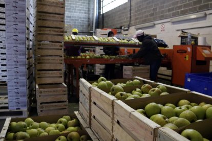 Imatge de preparació de palets amb pomes.