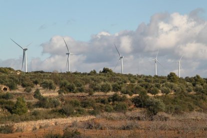 El parc de Sant Antoni, un dels tres que hi ha construïts a la Granadella per Tarraco Eólica.