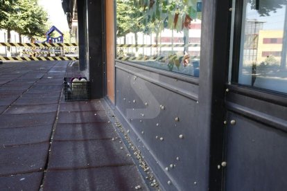 Plaga de caragolines en una escola bressol de Lleida