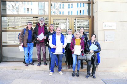 Representantes de las AMPA, ante el consell comarcal.