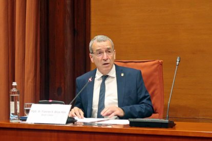 El síndico de Aran, Francesc Xavier Boya, durante la comparecencia en el Parlament.