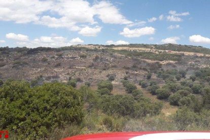 Vista general de la zona afectada ayer por el incendio de vegetación agrícola en Llardecans. 