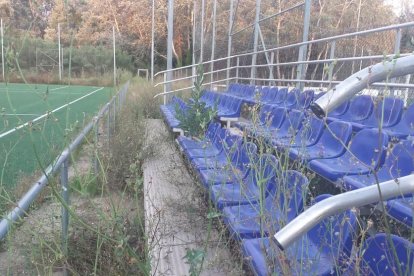 Gradas del Municipal de Pardinyes invadidas por las plantas.