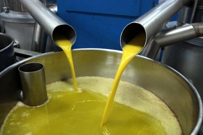 Imagen de producción de aceite de oliva virgen extra en una cooperativa leridana.