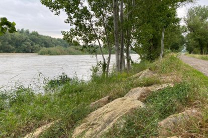 Los ecologistas exigen desembalses controlados 2 veces al año en Lleida 