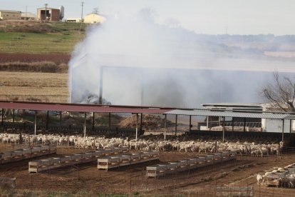 Los Bomberos sofocan un incendio en un pajar de Alcarràs