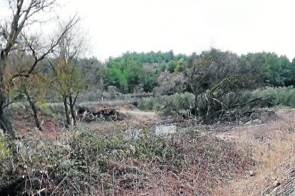 El curs on capta aigua la granja denunciada per Ipcena.