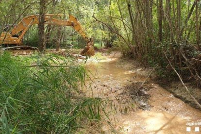 Denuncien una empresa per deixar sense aigua un riu a Gavet de la Conca