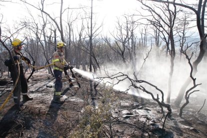 Imagen de archivo de un incendio en Artesa de Segre.