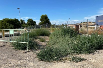 Imatge de l’estat de la zona d’autocaravanes de les Borges.