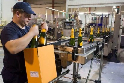 Bodega extremeña en pleno trabajo.