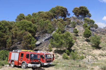 El incendio de vegetación en la partida de Torres de Sanui.