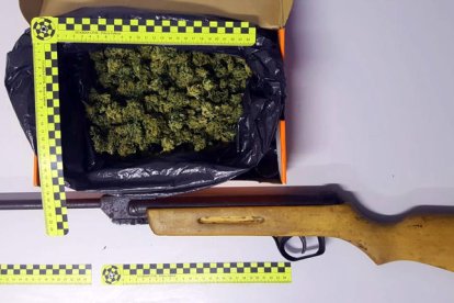 Detenido un vecino de Balaguer después de encontrarle marihuana y una carabina sin licencia escondidos al coche en Huesca