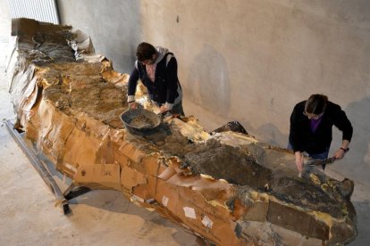 El fòssil de cinc metres del coll d’un dinosaure, ‘embalat’ al museu d’Isona el novembre del 2014.