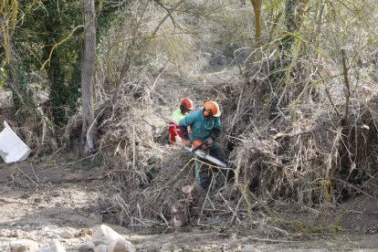 Trabajos de limpieza del Gorg en octubre del pasado año.