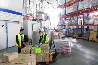 Voluntarios en el almacén del Banc dels Aliments de Lleida. 