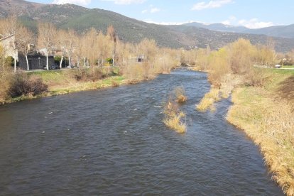 Imagen del río Segre ayer a su paso por la Seu d’Urgell sin ninguna actividad de pesca.