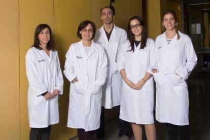 Investigadors lleidatans aconsegueixen un avenç contra un tumor cerebral agressiu