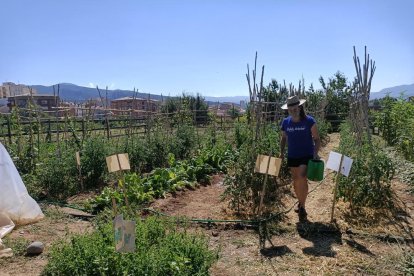 Una voluntaria, cultivando el huerto que la asociación Alba Jussà tiene en Tremp. 