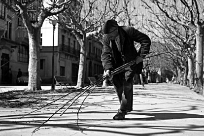 Recogiendo ramas de la poda de los árboles del Passeig Brudieu de La Seu, a principios de los años 60.