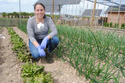 Els horts d’autoconsum, una “forma de desconnectar”