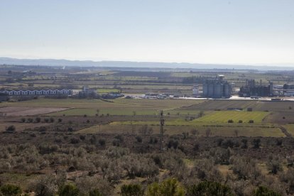 Los terrenos donde se prevé construir la variante de Tàrrega.