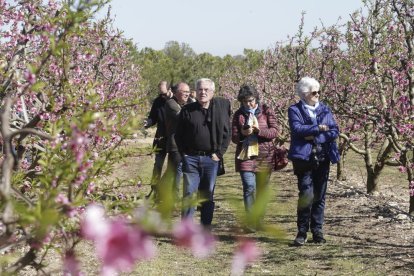 Visitants passejant per un camp florit a Alcarràs, i a la imatge de la dreta els turistes que van participar en les rutes que es van organitzar ahir al matí.