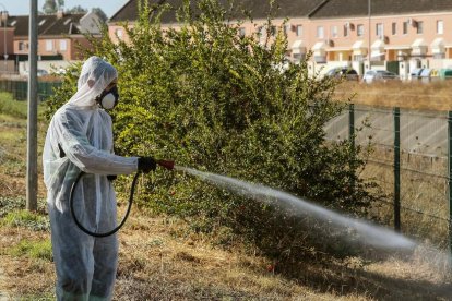 Un operari fumiga uns jardins a Coria del Río.