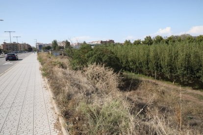 El terreno en el que los musulmanes pretenden edificar la mezquita, junto al puente de Pardinyes. 