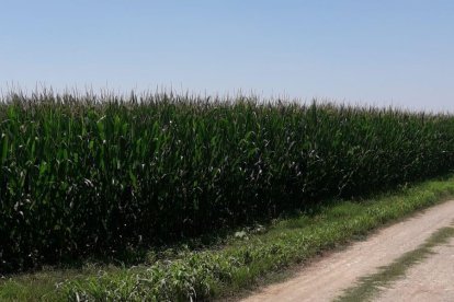 Térmens cierra un camino por un vertido de basura